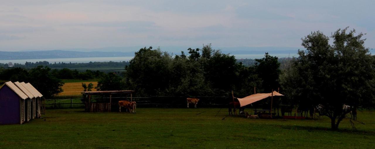 Dharma Horse Shelter Bungalows & Farmping Siófok Eksteriør bilde