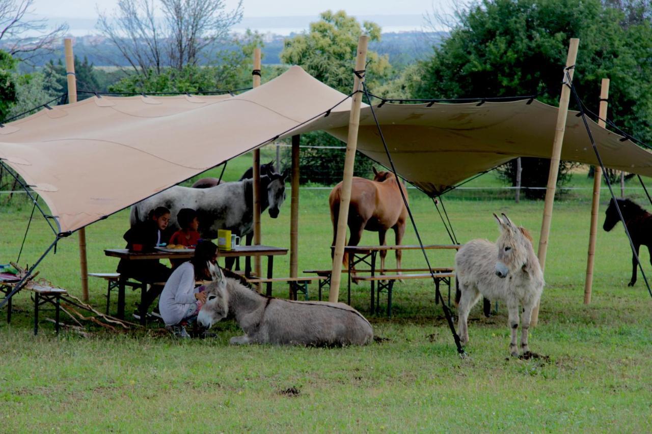 Dharma Horse Shelter Bungalows & Farmping Siófok Eksteriør bilde